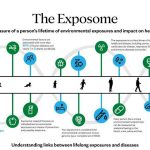 Exploring the exposome